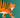 Tiger Print
